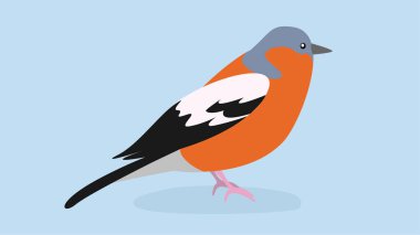 Kuş simgesi. ağ için kuş vektör simgelerinin düz çizimi