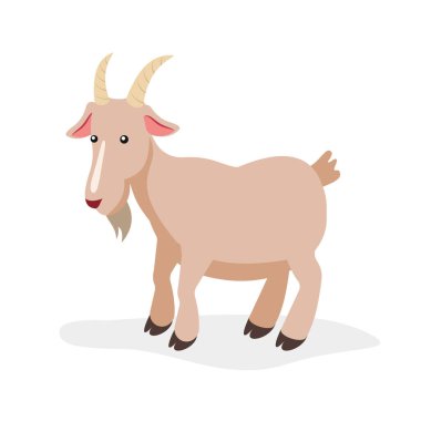 Boynuzlu ve pembe gözlü şirin bir keçi.