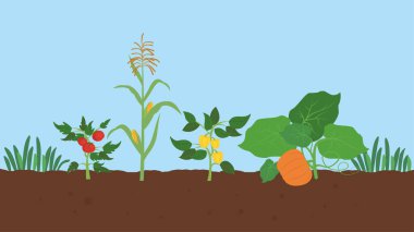 Bitkilerden oluşan bir bitkinin vektör çizimi