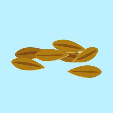 Yiyecek tanelerinin vektör çizimi