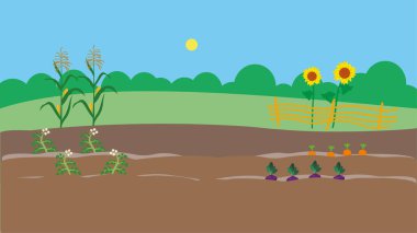 Bitkilerden ve çitlerden oluşan bir alanın vektör çizimi