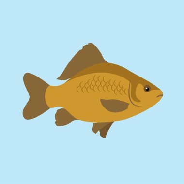 Balık ikonu. levreğin düz çizimi  