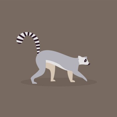 Lemur dört ayak üzerinde yürür, yan görünüm