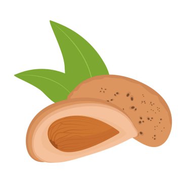 Badem, kabuklu ceviz.