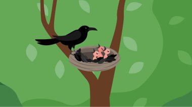 Ağaçtaki karga yuvadaki yavruların yanında