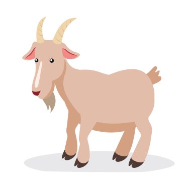 Keçi pelerini vektör çizimi tasarımı