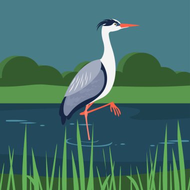 Göldeki leylek çizimi