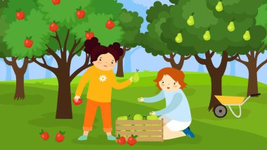 Çocuklar bahçede bir kutuda elma ve armut toplarlar.