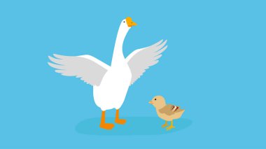 Beyaz kaz ve civcivin vektör çizimi 