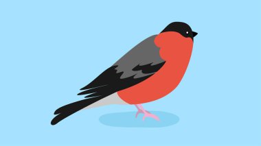 kuş simgesi vektör illüstrasyonu 