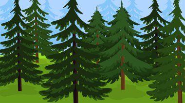 Çam ağaçlı orman manzarası 