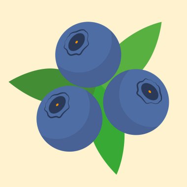 yaban mersini ikonu vektör çizimi