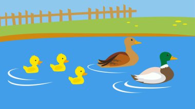 Göldeki ördeklerin vektör çizimi 