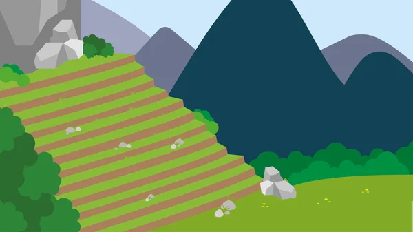 Mountain Terraces Ancient Incas — Stock Vector
