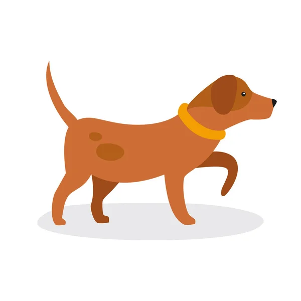 Hundesymbol Flache Abbildung Von Dackelvektorsymbolen Für Das Web — Stockvektor