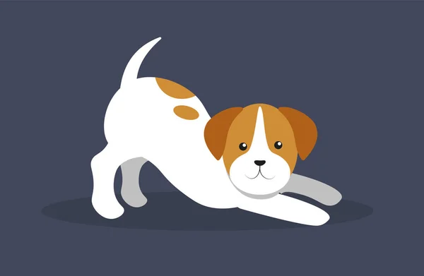 Hunderasse Cartoon Ikone Flache Abbildung Von Hundevektorsymbolen Für Webdesign — Stockvektor