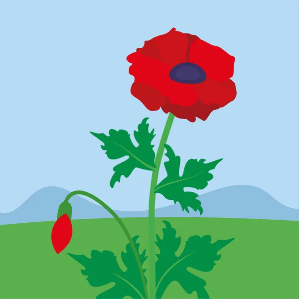 田间矢量图解设计中的红色罂粟和花卉 — 图库矢量图片