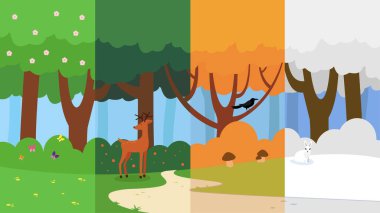 Ağaçlar ve ormanlarla dört mevsim manzarası