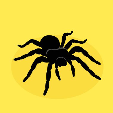 Cadılar Bayramı örümcek ağı simgesi, vektör illüstrasyonu