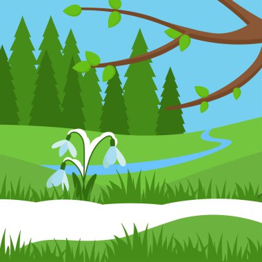 Ormanda yeşil çimenler ve ağaçlar