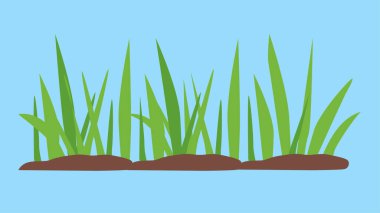 Yeşil çimlerin vektör illüstrasyonu 