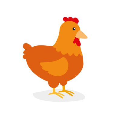 Tavuk ikonu. ağ için tavuk vektör sembolünün düz çizimi
