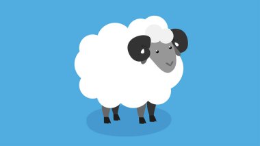 Mavi arka planı olan koyunlar