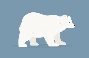 Kutup ayısı simgesi. Beyaz ayı vektör logosu tasarımının düz çizimi.