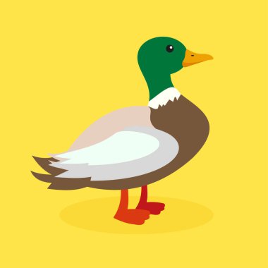 Ördek ikonu. Web için kuş vektör simgelerinin düz çizimi