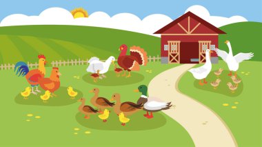 çiftlik hayvanları ve tavuklar resimleme