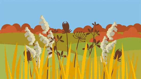 Autumn Field Plants Illustration Background — Stock Vector