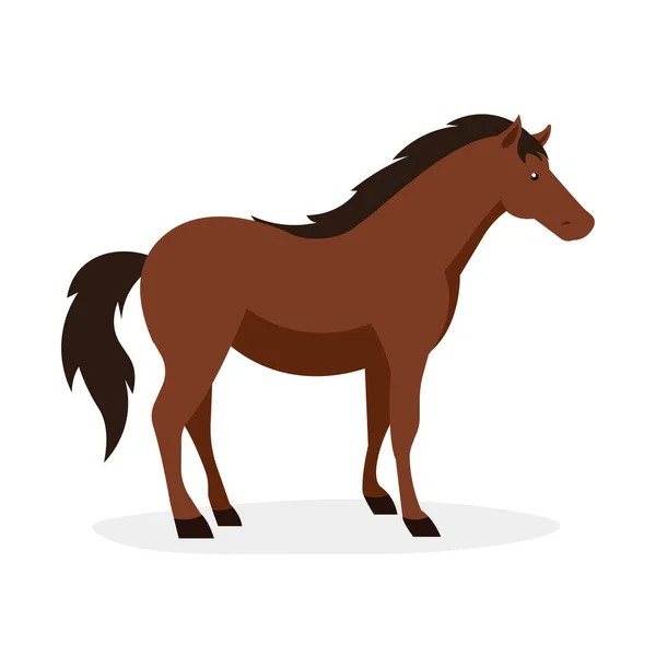 Άλογο Επίπεδη Απεικόνιση Εικονιδίου Φορέα Αλόγου Που Απομονώνεται Λευκό Φόντο — Διανυσματικό Αρχείο