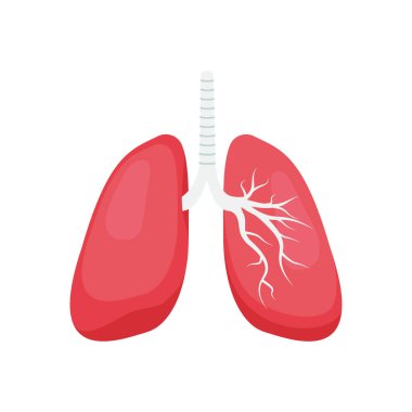 Akciğer ikonu. ağ için akciğer simgelerinin düz çizimi