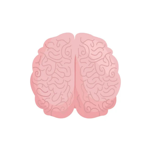 Projekt Ikony Mózgu Ilustracja — Zdjęcie stockowe