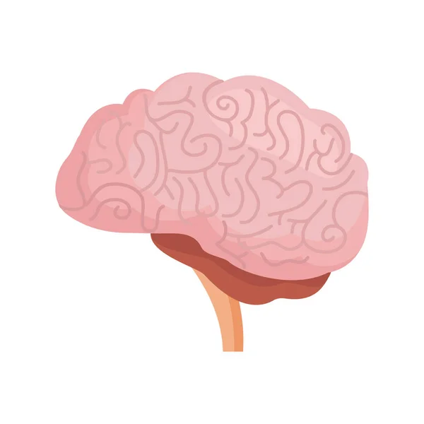 Projekt Ikony Mózgu Ilustracja — Zdjęcie stockowe