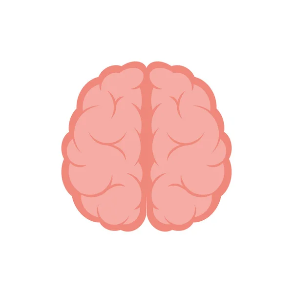 Brain Icon Design Illustration — Fotografia de Stock
