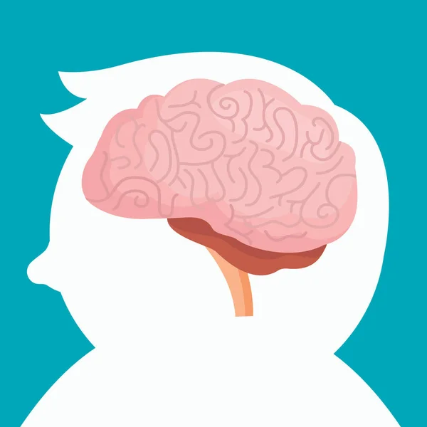 Human Brain Icon Illustration — Fotografia de Stock