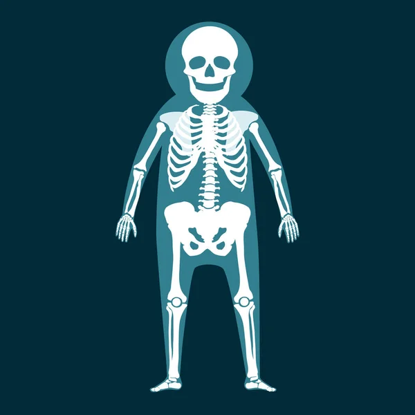 Полная Длина Рентгена Человека — стоковое фото