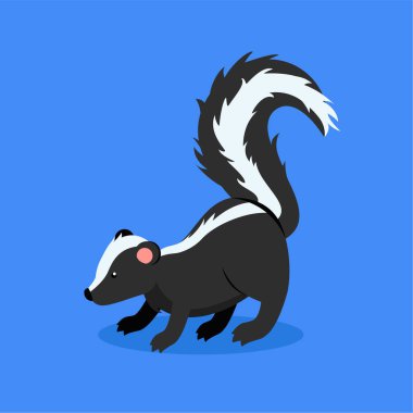 Porsuk dört ayak üstünde duruyor.