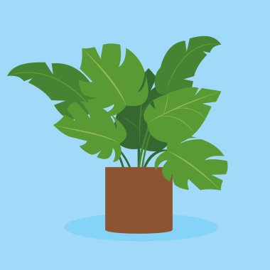 Yaprak vektör illüstrasyon tasarımı olan bitki