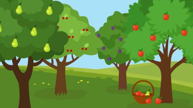 vector illustration of different fruit trees in the garde