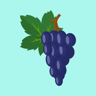 Üzüm simgesinin vektör çizimi