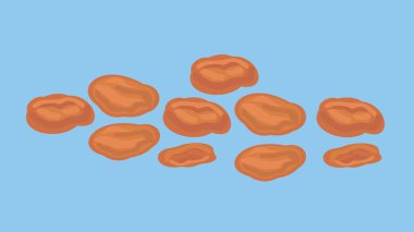 vector cartoon of peanuts or beans 