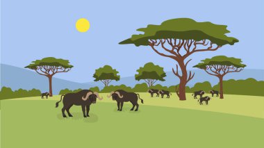 buffalos in the park, vector illustration