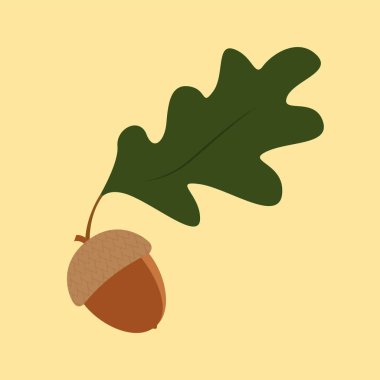 autumn leaf and acorn, vector illustration