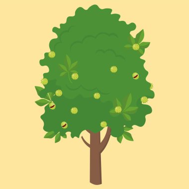 chestnut tree, vector illustration
