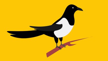 magpie bird icon. vector illustration