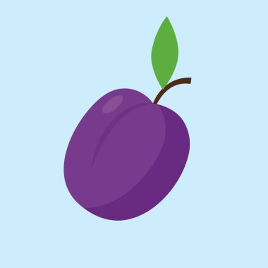 plum fruit. vector illustration design