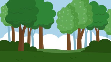 Orman manzarası Ağaçlar ve yeşil otlar