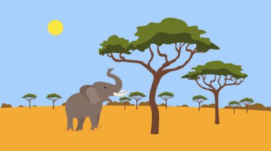 elephant, wildlife landscape with trees and sand vector illustration design